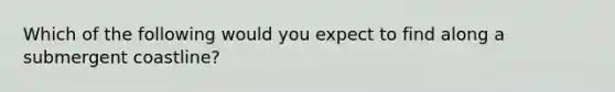 Which of the following would you expect to find along a submergent coastline?