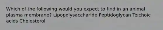 Which of the following would you expect to find in an animal plasma membrane? Lipopolysaccharide Peptidoglycan Teichoic acids Cholesterol