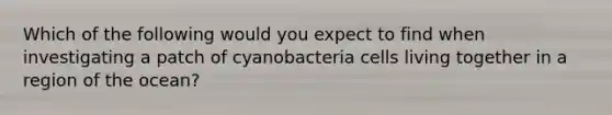 Which of the following would you expect to find when investigating a patch of cyanobacteria cells living together in a region of the ocean?