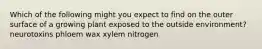 Which of the following might you expect to find on the outer surface of a growing plant exposed to the outside environment? neurotoxins phloem wax xylem nitrogen