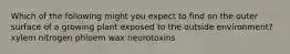Which of the following might you expect to find on the outer surface of a growing plant exposed to the outside environment? xylem nitrogen phloem wax neurotoxins