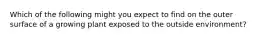 Which of the following might you expect to find on the outer surface of a growing plant exposed to the outside environment?