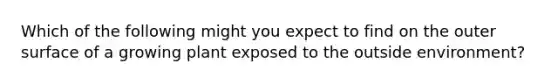 Which of the following might you expect to find on the outer surface of a growing plant exposed to the outside environment?
