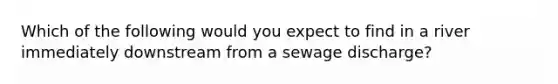 Which of the following would you expect to find in a river immediately downstream from a sewage discharge?