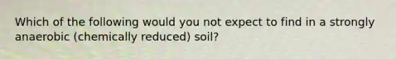 Which of the following would you not expect to find in a strongly anaerobic (chemically reduced) soil?