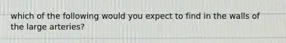 which of the following would you expect to find in the walls of the large arteries?