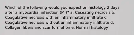 Which of the following would you expect on histology 2 days after a myocardial infarction (MI)? a. Caseating necrosis b. Coagulative necrosis with an inflammatory infiltrate c. Coagulative necrosis without an inflammatory infiltrate d. Collagen fibers and scar formation e. Normal histology