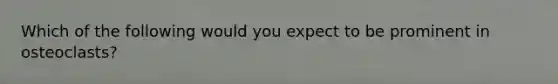 Which of the following would you expect to be prominent in osteoclasts?