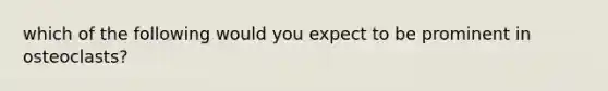 which of the following would you expect to be prominent in osteoclasts?