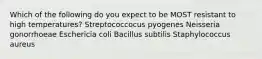 Which of the following do you expect to be MOST resistant to high temperatures? Streptococcocus pyogenes Neisseria gonorrhoeae Eschericia coli Bacillus subtilis Staphylococcus aureus