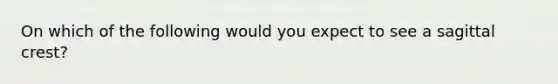 On which of the following would you expect to see a sagittal crest?