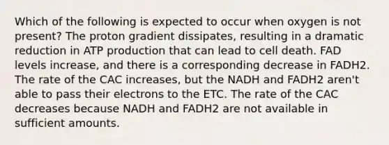 Which of the following is expected to occur when oxygen is not present? The proton gradient dissipates, resulting in a dramatic reduction in ATP production that can lead to cell death. FAD levels increase, and there is a corresponding decrease in FADH2. The rate of the CAC increases, but the NADH and FADH2 aren't able to pass their electrons to the ETC. The rate of the CAC decreases because NADH and FADH2 are not available in sufficient amounts.