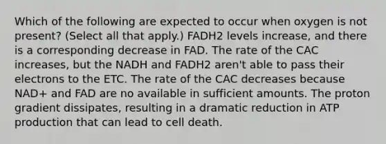 Which of the following are expected to occur when oxygen is not present? (Select all that apply.) FADH2 levels increase, and there is a corresponding decrease in FAD. The rate of the CAC increases, but the NADH and FADH2 aren't able to pass their electrons to the ETC. The rate of the CAC decreases because NAD+ and FAD are no available in sufficient amounts. The proton gradient dissipates, resulting in a dramatic reduction in ATP production that can lead to cell death.