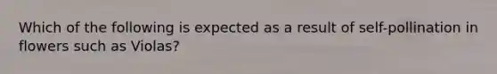 Which of the following is expected as a result of self-pollination in flowers such as Violas?
