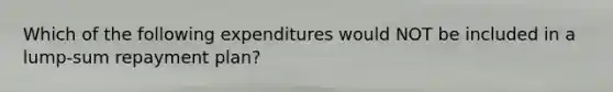 Which of the following expenditures would NOT be included in a lump-sum repayment plan?