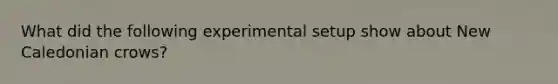 What did the following experimental setup show about New Caledonian crows?