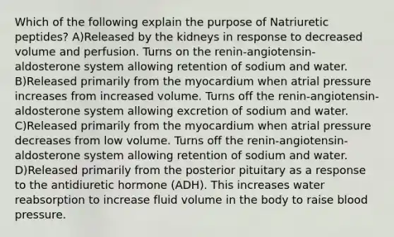 Which of the following explain the purpose of Natriuretic peptides? A)Released by the kidneys in response to decreased volume and perfusion. Turns on the renin-angiotensin-aldosterone system allowing retention of sodium and water. B)Released primarily from the myocardium when atrial pressure increases from increased volume. Turns off the renin-angiotensin-aldosterone system allowing excretion of sodium and water. C)Released primarily from the myocardium when atrial pressure decreases from low volume. Turns off the renin-angiotensin-aldosterone system allowing retention of sodium and water. D)Released primarily from the posterior pituitary as a response to the antidiuretic hormone (ADH). This increases water reabsorption to increase fluid volume in the body to raise blood pressure.