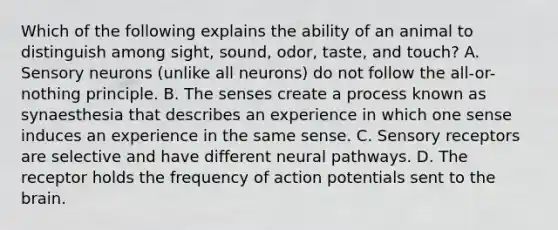 Which of the following explains the ability of an animal to distinguish among sight, sound, odor, taste, and touch? A. Sensory neurons (unlike all neurons) do not follow the all-or-nothing principle. B. The senses create a process known as synaesthesia that describes an experience in which one sense induces an experience in the same sense. C. Sensory receptors are selective and have different neural pathways. D. The receptor holds the frequency of action potentials sent to the brain.