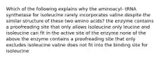 Which of the following explains why the aminoacyl- tRNA synthetase for isoleucine rarely incorporates valine despite the similar structure of these two amino acids? the enzyme contains a proofreading site that only allows isoleucine only leucine and isoleucine can fit in the active site of the enzyme none of the above the enzyme contains a proofreading site that only excludes isoleucine valine does not fit into the binding site for isoleucine