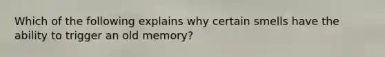 Which of the following explains why certain smells have the ability to trigger an old memory?