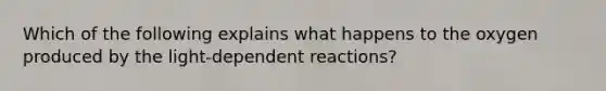 Which of the following explains what happens to the oxygen produced by the light-dependent reactions?