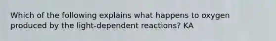 Which of the following explains what happens to oxygen produced by the light-dependent reactions? KA