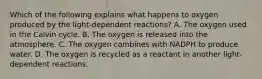 Which of the following explains what happens to oxygen produced by the light-dependent reactions? A. The oxygen used in the Calvin cycle. B. The oxygen is released into the atmosphere. C. The oxygen combines with NADPH to produce water. D. The oxygen is recycled as a reactant in another light-dependent reactions.