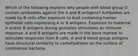 Which of the following explains why people with blood group O contain antibodies against the A and B antigens? Antibodies are made by B cells after exposure to dust containing human epithelial cells expressing A or B antigens. Exposure to maternal A and/or B antigens during gestation stimulates an immune response. A and B antigens are made in the bone marrow to stimulate responses from B cells. A and B blood group antigens have structural similarity to carbohydrates on the surface of commensal bacteria.