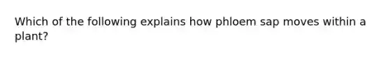 Which of the following explains how phloem sap moves within a plant?