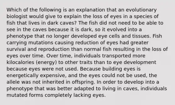 Which of the following is an explanation that an evolutionary biologist would give to explain the loss of eyes in a species of fish that lives in dark caves? The fish did not need to be able to see in the caves because it is dark, so it evolved into a phenotype that no longer developed eye cells and tissues. Fish carrying mutations causing reduction of eyes had greater survival and reproduction than normal fish resulting in the loss of eyes over time. Over time, individuals transported more kilocalories (energy) to other traits than to eye development because eyes were not used. Because building eyes is energetically expensive, and the eyes could not be used, the allele was not inherited in offspring. In order to develop into a phenotype that was better adapted to living in caves, individuals mutated forms completely lacking eyes.