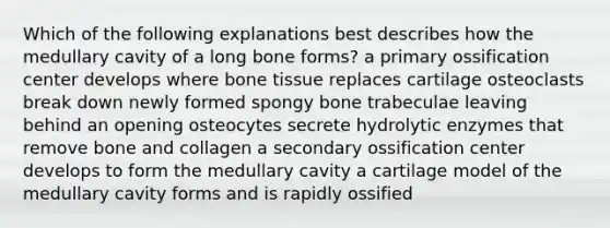 Which of the following explanations best describes how the medullary cavity of a long bone forms? a primary ossification center develops where bone tissue replaces cartilage osteoclasts break down newly formed spongy bone trabeculae leaving behind an opening osteocytes secrete hydrolytic enzymes that remove bone and collagen a secondary ossification center develops to form the medullary cavity a cartilage model of the medullary cavity forms and is rapidly ossified