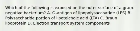 Which of the following is exposed on the outer surface of a gram-negative bacterium? A. O-antigen of lipopolysaccharide (LPS) B. Polysaccharide portion of lipoteichoic acid (LTA) C. Braun lipoprotein D. Electron transport system components