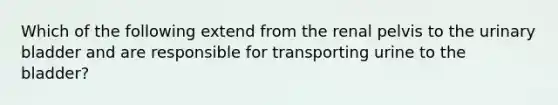 Which of the following extend from the renal pelvis to the urinary bladder and are responsible for transporting urine to the bladder?