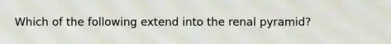 Which of the following extend into the renal pyramid?
