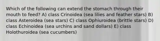 Which of the following can extend the stomach through their mouth to feed? A) class Crinoidea (sea lilies and feather stars) B) class Asteroidea (sea stars) C) class Ophiuroidea (brittle stars) D) class Echinoidea (sea urchins and sand dollars) E) class Holothuroidea (sea cucumbers)