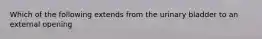 Which of the following extends from the urinary bladder to an external opening