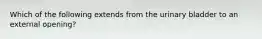 Which of the following extends from the urinary bladder to an external opening?