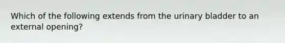 Which of the following extends from the urinary bladder to an external opening?