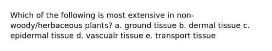 Which of the following is most extensive in non-woody/herbaceous plants? a. <a href='https://www.questionai.com/knowledge/kb0kKBaH0H-ground-tissue' class='anchor-knowledge'>ground tissue</a> b. <a href='https://www.questionai.com/knowledge/kRKdINDJId-dermal-tissue' class='anchor-knowledge'>dermal tissue</a> c. epidermal tissue d. vascualr tissue e. transport tissue