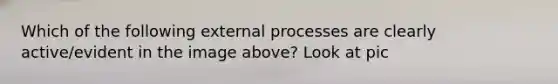 Which of the following external processes are clearly active/evident in the image above? Look at pic