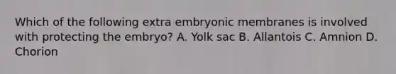 Which of the following extra embryonic membranes is involved with protecting the embryo? A. Yolk sac B. Allantois C. Amnion D. Chorion