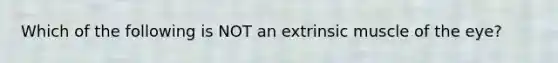 Which of the following is NOT an extrinsic muscle of the eye?