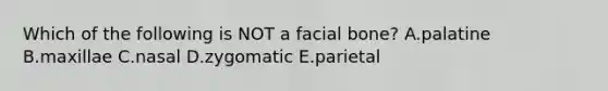 Which of the following is NOT a facial bone? A.palatine B.maxillae C.nasal D.zygomatic E.parietal