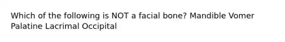 Which of the following is NOT a facial bone? Mandible Vomer Palatine Lacrimal Occipital