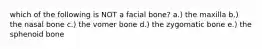 which of the following is NOT a facial bone? a.) the maxilla b.) the nasal bone c.) the vomer bone d.) the zygomatic bone e.) the sphenoid bone