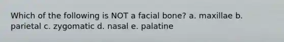 Which of the following is NOT a facial bone? a. maxillae b. parietal c. zygomatic d. nasal e. palatine