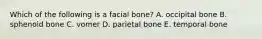 Which of the following is a facial bone? A. occipital bone B. sphenoid bone C. vomer D. parietal bone E. temporal bone