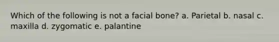 Which of the following is not a facial bone? a. Parietal b. nasal c. maxilla d. zygomatic e. palantine