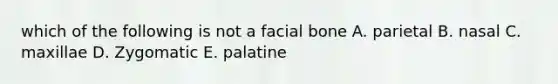 which of the following is not a facial bone A. parietal B. nasal C. maxillae D. Zygomatic E. palatine