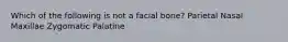 Which of the following is not a facial bone? Parietal Nasal Maxillae Zygomatic Palatine